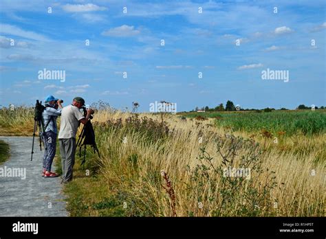 Bird Watchers At Rspb Frampton Marsh Nature Reserve Lincolnshire