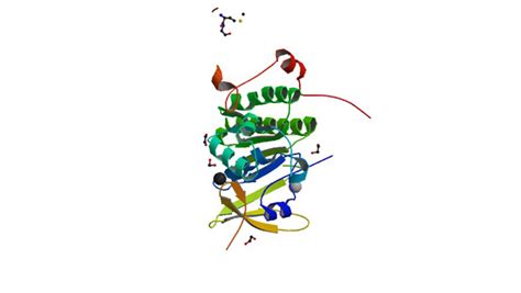 Study results from BRCA2 mutation carriers