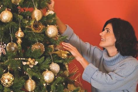 Qu Pinos Naturales Podemos Elegir Para Decorar En Esta Navidad