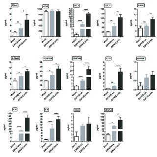 Induction Of Cytokine And Chemokine Production By ZIKV Infection In