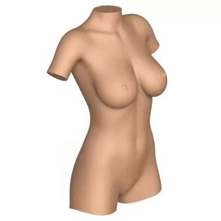 D Print Ready Woman Torso With Vagina D Printing Model Threeding