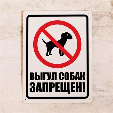 Табличка Выгул собак запрещен купить