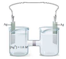 Solved Consider The Concentration Cell Shown Below Calculate The