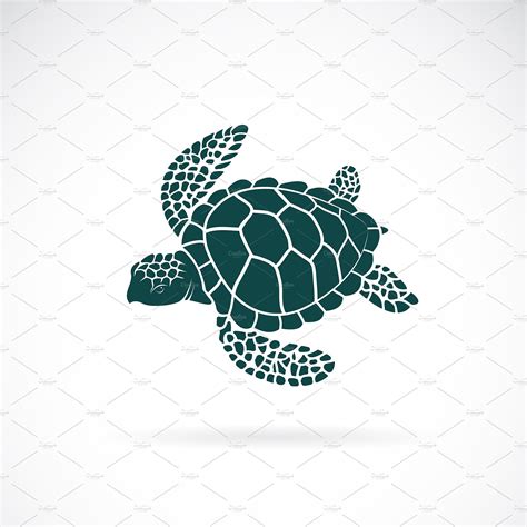 Vector Of Turtle Design Wild Animal Icons Creative Market