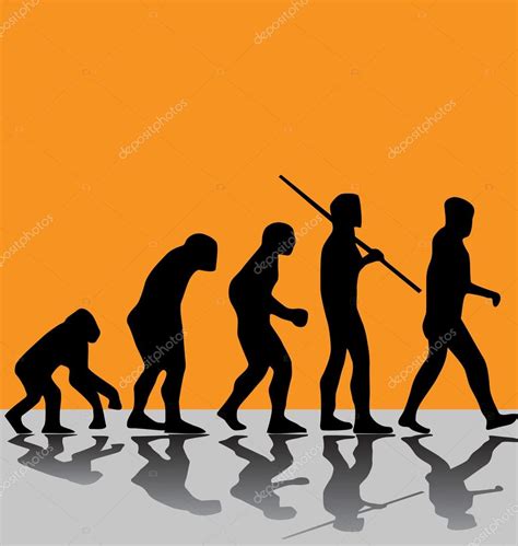 Evolution Stock Vector Kamphi 31300793