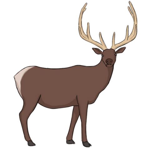 How To Draw An Elk Really Easy Drawing Tutorial 46 Off