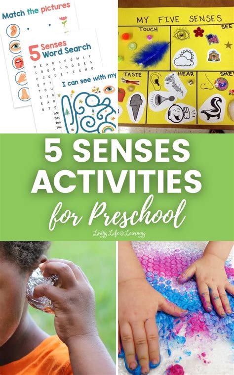 5 Senses Activities For Preschool Fun And Educational Ideas