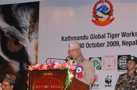 Nepal expands critical tiger habitat | WWF
