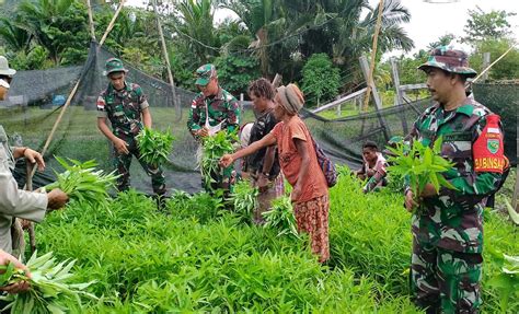 Bantu Warga Perbatasan RI PNG Prajurit TNI Lakukan Ini Top