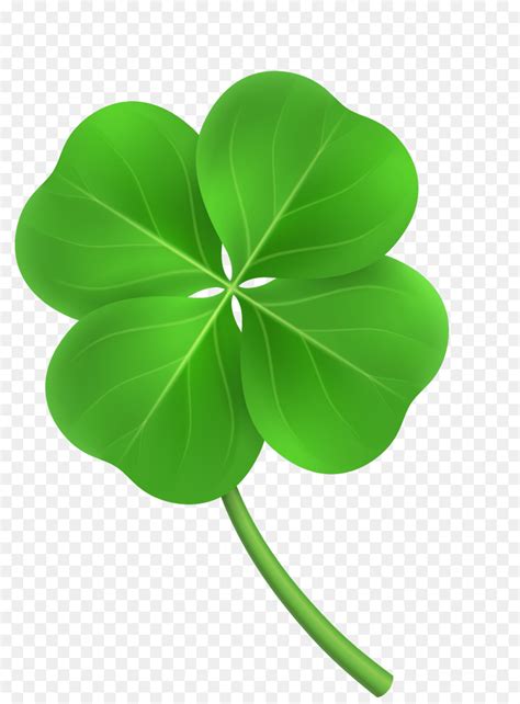 Four-leaf clover Clip art - clover png download - 1493*2005 - Free ...