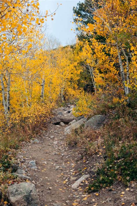 Bierstadt Lake Trail Hike From Bierstadt Lake Trailhead Roads And