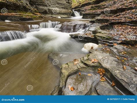 Water Carved Pools And Reflections Stock Image Image Of Lake Trees