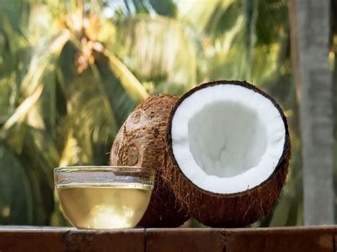 World Coconut Day 2021 History Significance And Everything Else You