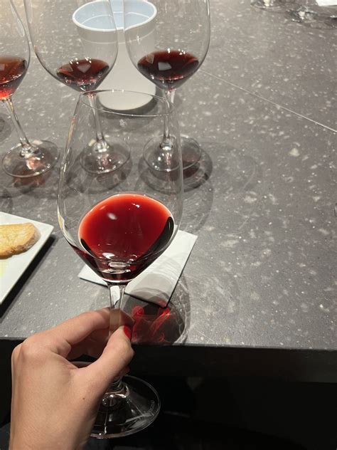 Gourmet Wine Tour 2 Wineries And Lunch 🍷 Guided Tour In Catalonia