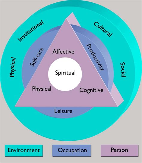 Mr Occt Model And Frame Of Reference Occupational Therapy