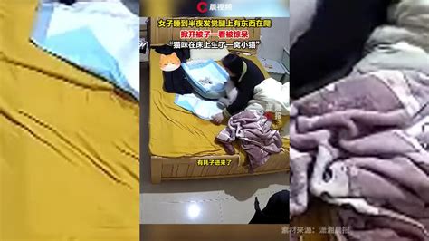 女子睡到半夜发觉腿上有东西在爬，掀开被子一看被惊呆了