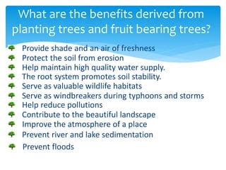 Benefits Derived From Planting Tress And Fruit Bearing Ppt