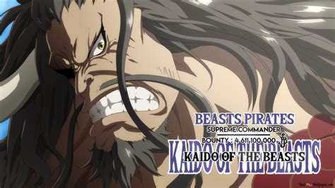 Beast Pirates Supreme Commander Kaido of the Beasts 2K wallpaper download