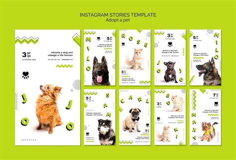 Adoptez Des Histoires Instagram Pour Animaux Psd Gratuite