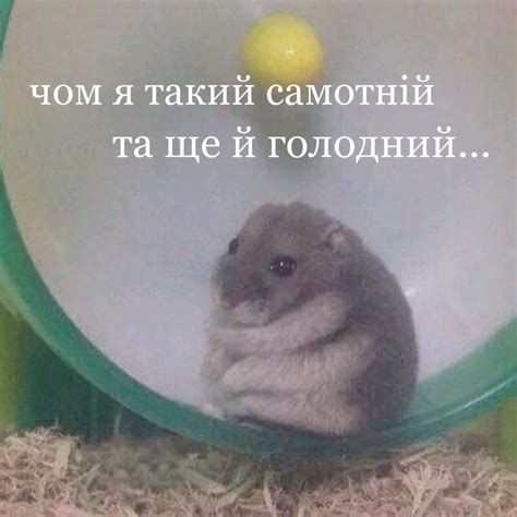 Pin on меми | Silly memes, Mood pics, Memes