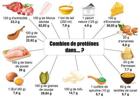 Prot Ines Comment Viter De Perdre Tous Vos Muscles N O Nutrition