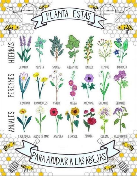 Plantas Que Mejoran La Polinizaci N De Las Abejas Blog De Juvasa