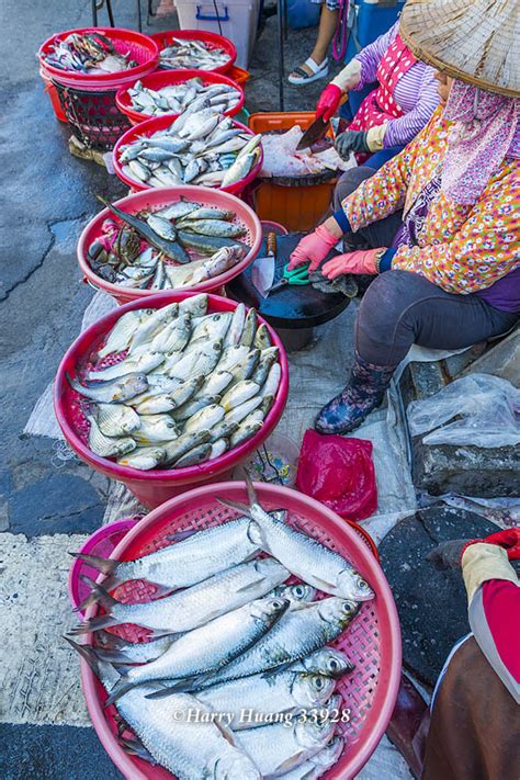 Harry33928大眼海鰱大海鰱印度雞魚星雞魚金龍魚石鱸海水魚海鮮海產攤販魚販旗津市場市場早市市集高雄市