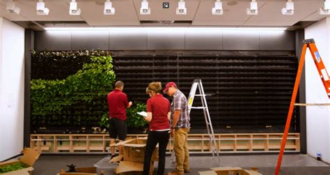 Watch Us Create A 22 Foot Living Wall Phillip S Interior Plants