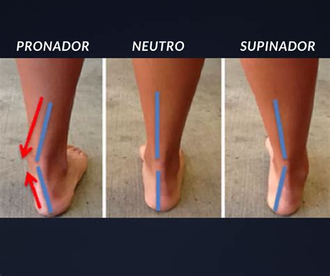 PRONADOR-NEUTRO-SUPINADOR - Guarda Runners