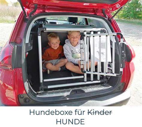 Hundebox fürs Auto kaufen Sichere Hundetransportbox