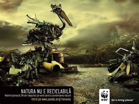 Powerful Examples Of Advertising From The Wwf Wwf Poster Funny