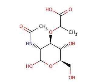 N-Acetylmuramic acid | CAS 10597-89-4 | SCBT - Santa Cruz Biotechnology