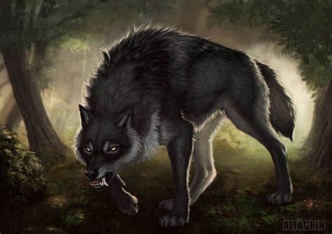 Dire Wolf Artofit