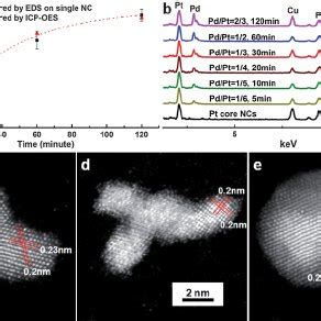 Elemental Characterization Of Pd Shell Formation Using Eds And Icp Oes