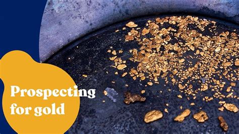 Prospecting For Gold