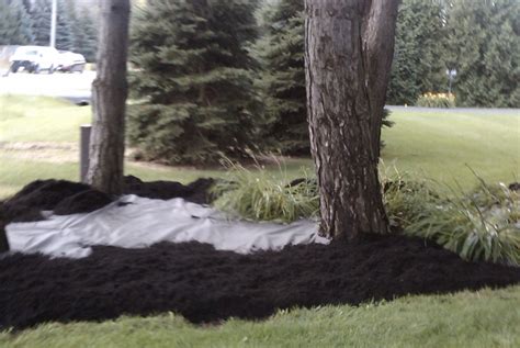 Mulch & Garden Soil Installation » Tropical Touch Landscaping