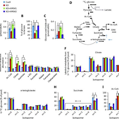 Pdf Pkm2 Promotes Reductive Glutamine Metabolism