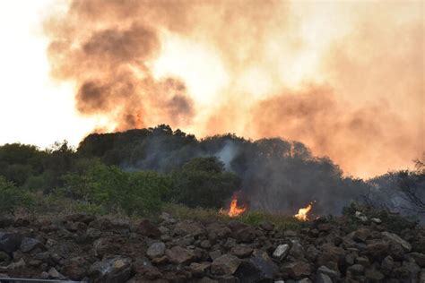 Incêndios na Itália destroem mais de 50 mil hectares em 2023 Agenda