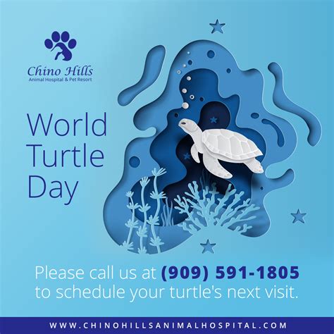 Happy World Turtle Day