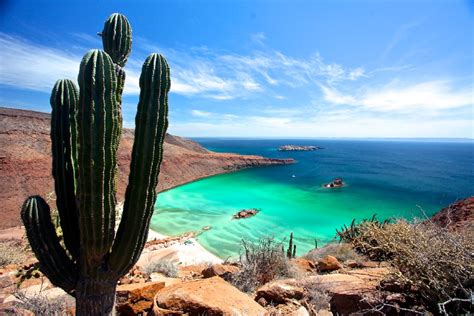 Isla Espíritu Santo Viajes Eli