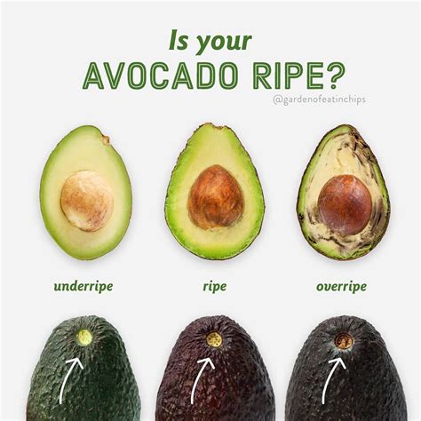 How To Tell If Your Avocado Is Ripe Coolguides