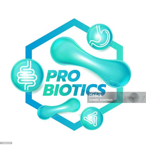 Probiotic Foods Good Bacteria Vector Illustration Stock Illustration