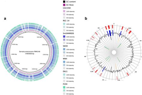 Circular Visualization Of Comparative Genome Analysis Of S Marcescens Download Scientific