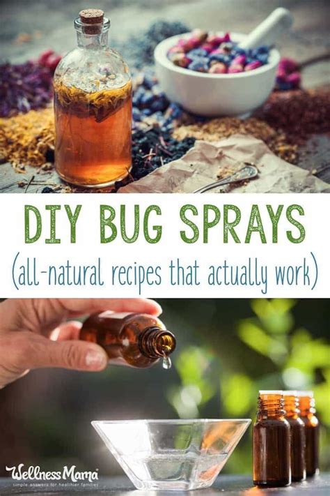 All Natural Homemade Bug Spray Recipes That Work Wellness Mama Bugspray Homemadebugspray