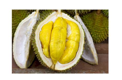 All You Can Eat Durian Buffet With Jurong Point Durian Fiesta 2 0