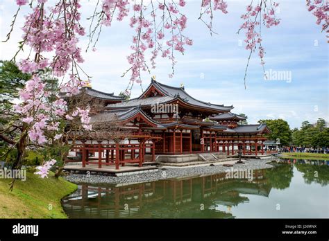 Byodo In Temple In Uji Kyoto Japan During Spring Cherry Blossom In