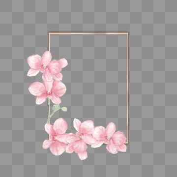 Handpainted Flower Hd Transparent Handpainted Pink Flower Flowers