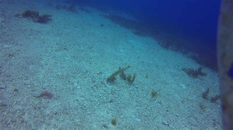 T Douglas Shoal Remediation Project Towed Underwater Video