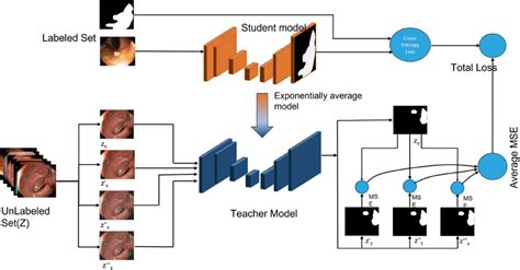 Our Proposed Method For Semi Supervised Medical Image Segmentation We Download Scientific