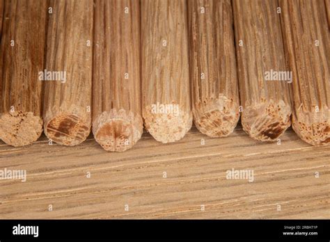 Row Of Oak Dowel Pins On Oak Background Dowel Pins Used To Join Two
